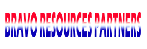 Bravo resources - header